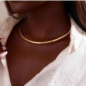 New! Gold Skinny Collar Necklace (4678)